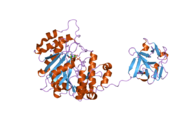 2ffu: Crystal Structure of Human ppGalNAcT-2 complexed with UDP and EA2