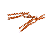 2fic: The crystal structure of the BAR domain from human Bin1/Amphiphysin II and its implications for molecular recognition