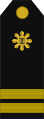 Filipinas (grado de teniente mayor)