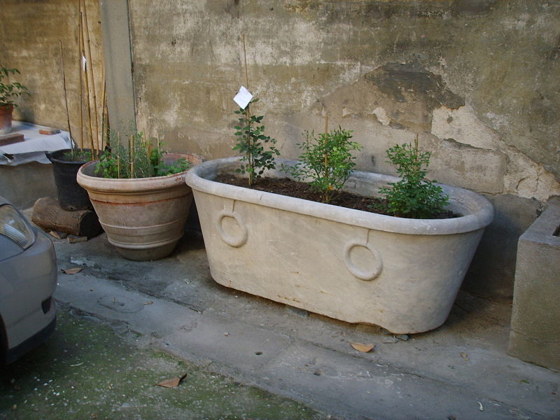 File:Palazzo malenchini alberti, giardino, vaso-sarcofago.JPG