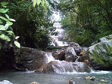 El Blanquito Waterfall, Yacambu National Park