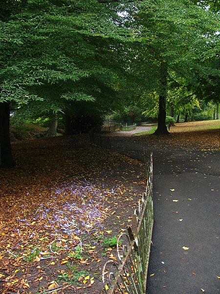 File:Path in Beechwood Park - geograph.org.uk - 2128594.jpg