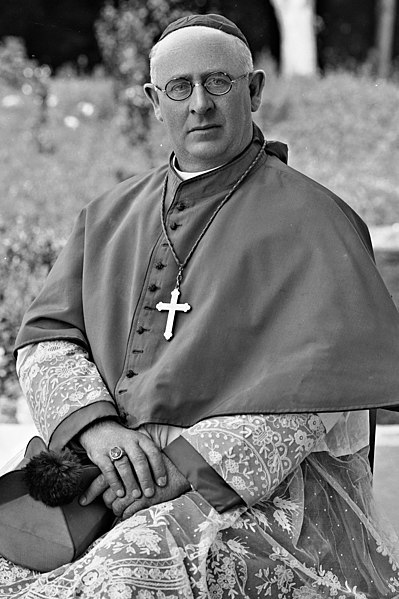File:Patrick Collier, Bishop of Ossory, circa 1930 (cropped).jpg
