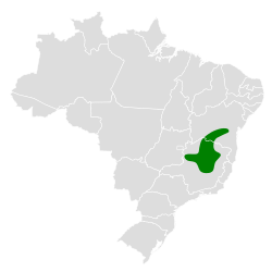 Distribución geográfica del orejerito de Minas Gerais.