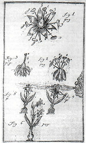 Praeludia Sponsaliorum Plantarum