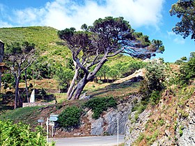 A Col de Santa Lucia cikk illusztráló képe