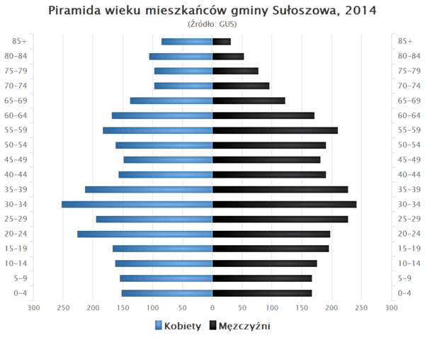 Piramida wieku Gmina Suloszowa.png