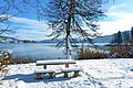 English: Rest area at the park Deutsch: Rastplatz im Park