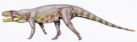 Tập_tin:Polonosuchus_silesiacus_(2).jpg