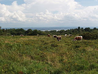 Poors Allotment biological Site of Special Scientific Interest in Gloucestershire, UK