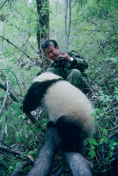 File:Prof. Pan Qinling Mountains.tif