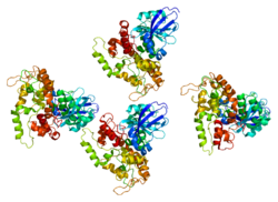 Протеин LRBA PDB 1t77.png