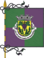 Estandarte da vila de Santa Marta de Penaguião (esquartelado de duas cores)