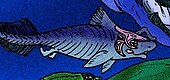 Life restoration of the Late Devonian placoderm fish Ptyctodus Ptyctodus compressus cropped.jpg