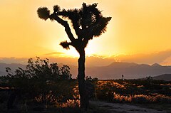 Van Heusen House, Burnt Mountain, Yucca Valley, CA