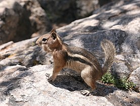 Rocky Mountain National Park, Colorado, USA