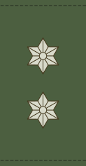 Danish Army(Oberstløjtnant)