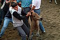 Galería De Imaxes De Festas De Galicia