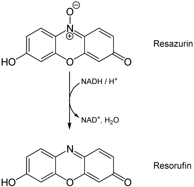 800px-ResazurinTOresorufin.png