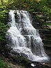 Ricketts Glen State Park Erie Falls 1.jpg
