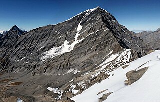 Fortune Salaire Mensuel de Rinerhorn Combien gagne t il d argent ? 10 000,00 euros mensuels