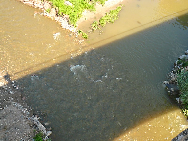 File:Riu Congost - aiguabarreig amb el Mogent P1180270.JPG