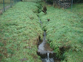 The Rohrchetsbach in Feldkahl