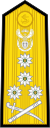 SA-Navy-OF-9.svg