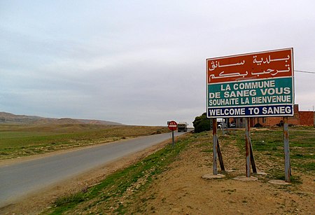 Saneg سانق - panoramio.jpg