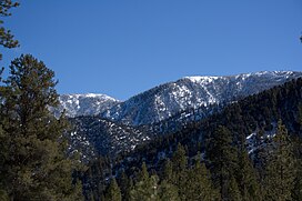 Sawmill Mt. 1-30-2008.jpg