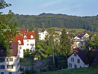 <span class="mw-page-title-main">Urdorf</span> Municipality in Zurich, Switzerland