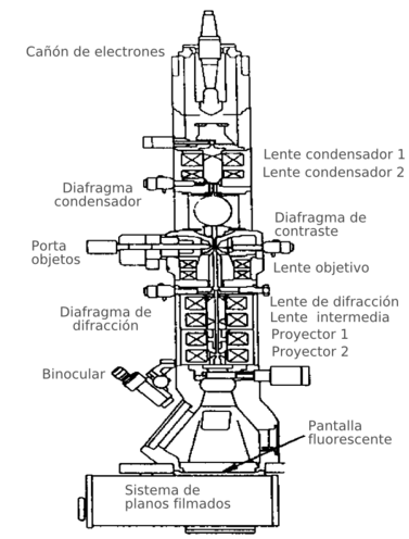 Hornear Realmente triatlón Microscopio electrónico de transmisión - Wikipedia, la enciclopedia libre