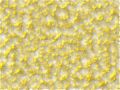 Scratch BG gold-bitmap4 77.png