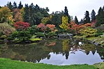 Thumbnail for Seattle Japanese Garden