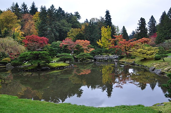 Seattle Japanese garden 2011 05.jpg