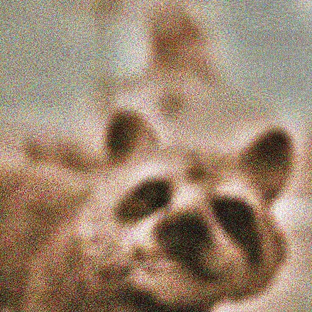 Self portrait with raccoon.jpg