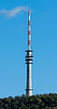 English: Broadcast tower Waldenburg-Friedrichsberg (2015) Deutsch: Sendeturm Waldenburg-Friedrichsberg (2015)