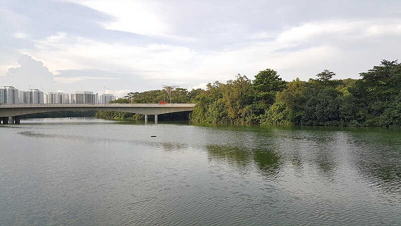 File:Serangoon Reservoir with TPE in the background.jpg