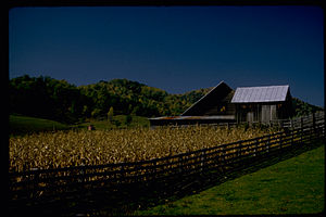 Shenandoah National Park SHEN9208.jpg