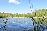 Sielbektal, Kreuzkamper Seenlandschaft und umliegende Wälder See nördl Kiesgrube Kreuzkamp südl Wald Beutz.jpg