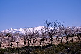 Sierra Nevada 4 v03.jpg