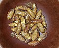 Silkworm snack 3 (cropped).jpg