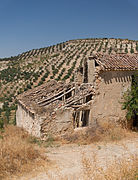 Simple ruin, almond trees plantation, Andalusia, Spain.jpg