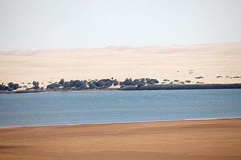 سترة