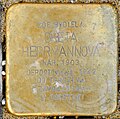 Sokolov Stolperstein Greta Herrmannová.jpg