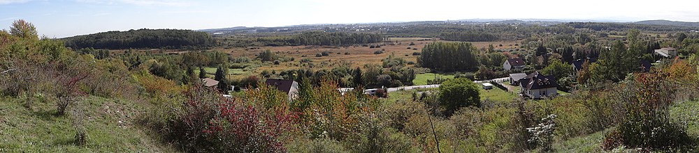 Panorama widokowa z łąki na Solniku. Po lewej stronie porośnięta lasem Górka Pychowicka