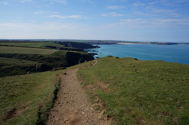 File:South West coast path at Gunver Head - geograph.org.uk - 4420912.jpg