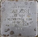 Staßfurt Prinzenberg 14 Stolperstein Sali Korn