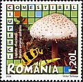 Stamp of Romania (2008)