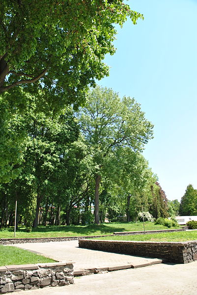 File:Staryi-Park-15057198.jpg